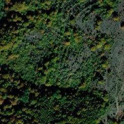 Satellite imagery of Tsaritsa, BG