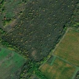 Satellite imagery of TT189, BG