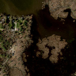 Satellite imagery of Pitchers Point, US