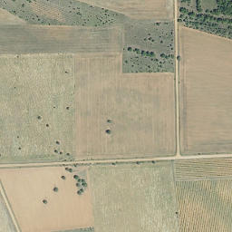 Satellite imagery of survey_point, ES