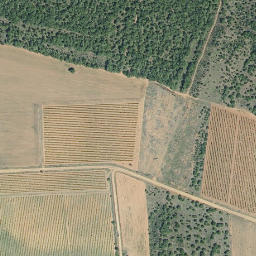 Satellite imagery of survey_point, ES