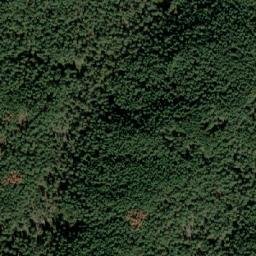 Satellite imagery of Ravnishte, BG