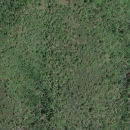 Satellite imagery of Tinpan Mine, US