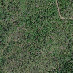 Satellite imagery of Tinpan Mine, US