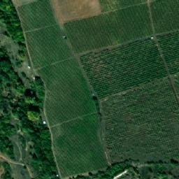 Satellite imagery of TT59, BG