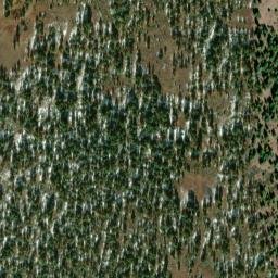 Satellite imagery of Bly Ridge, US