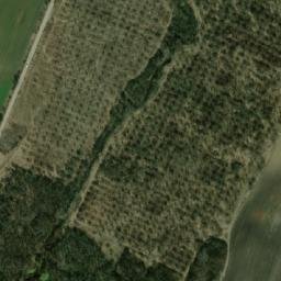 Satellite imagery of TT8/XVI/, BG