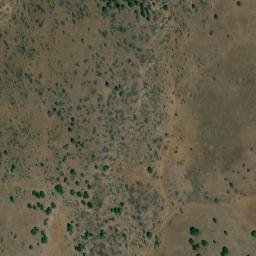 Satellite imagery of Big Tree, US