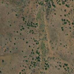 Satellite imagery of Big Tree, US