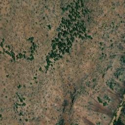 Satellite imagery of Big Tree, US