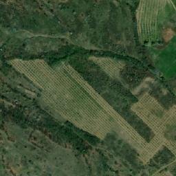 Satellite imagery of TT41, BG