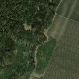 Satellite imagery of TT8/XVI/, BG