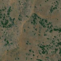 Satellite imagery of Big Tree, US