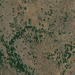 Satellite imagery of Big Tree, US