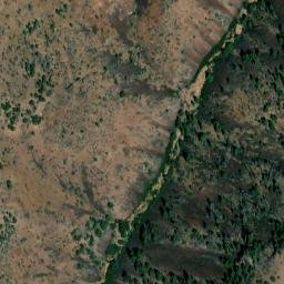Satellite imagery of Big Tree, US