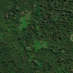 Satellite imagery of Zavoj, RS