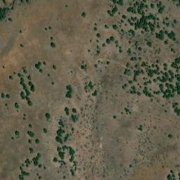 Satellite imagery of Big Tree, US