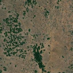 Satellite imagery of Big Tree, US