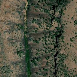 Satellite imagery of Big Tree, US
