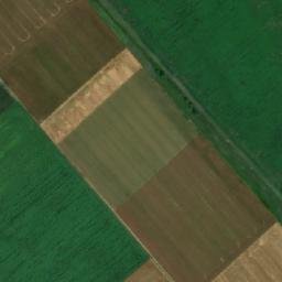 Satellite imagery of TT61, BG