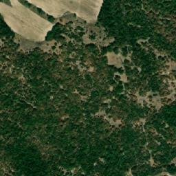 Satellite imagery of Molovitsa, BG