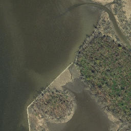 Satellite imagery of Little Nutten Hook, US