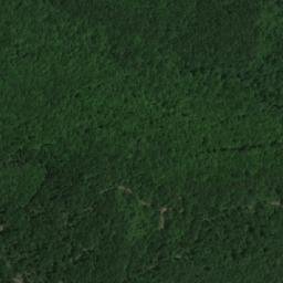 Satellite imagery of Shabanitsa, BG