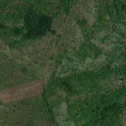 Satellite imagery of TT11, BG