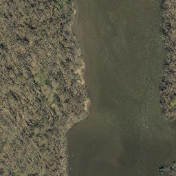 Satellite imagery of Gays Point, US
