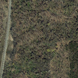 Satellite imagery of Gays Point, US
