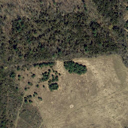 Satellite imagery of Gays Point, US