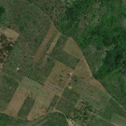 Satellite imagery of TT11, BG