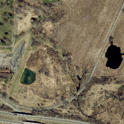 Satellite imagery of Mossy Bank, US