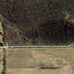 Satellite imagery of Mossy Bank, US
