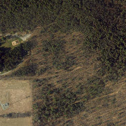 Satellite imagery of Mossy Bank, US