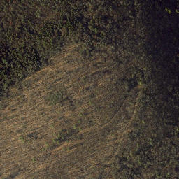 Satellite imagery of Mossy Bank, US