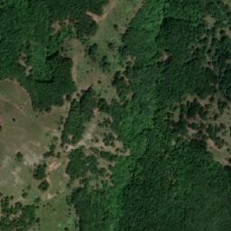 Satellite imagery of Petinovo Plandište, RS