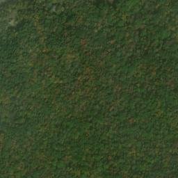 Satellite imagery of Elm Ridge, US