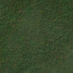Satellite imagery of Elm Ridge, US