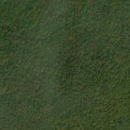 Satellite imagery of Elm Ridge, US