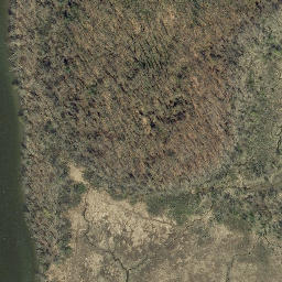 Satellite imagery of Fourmile Point, US