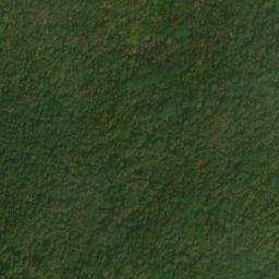 Satellite imagery of Elm Ridge, US