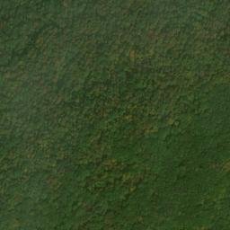 Satellite imagery of Elm Ridge, US