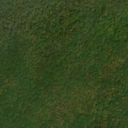 Satellite imagery of Elm Ridge, US