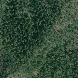 Satellite imagery of Rowden Mine, US
