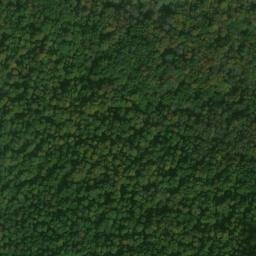 Satellite imagery of Patterson Ridge, US