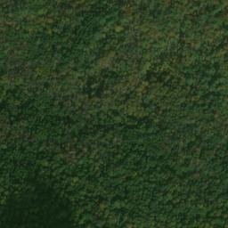 Satellite imagery of Patterson Ridge, US