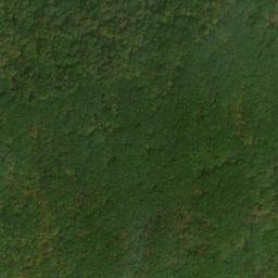Satellite imagery of Elm Ridge, US