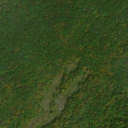 Satellite imagery of Elm Ridge, US