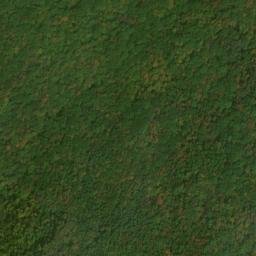 Satellite imagery of Elm Ridge, US